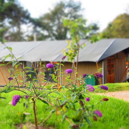 מלון Trinity Durrell Wildlife Camp מראה חיצוני תמונה