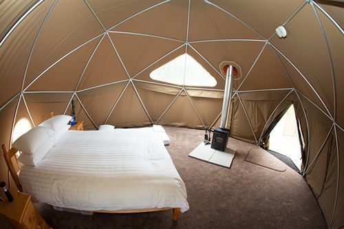 מלון Trinity Durrell Wildlife Camp מראה חיצוני תמונה