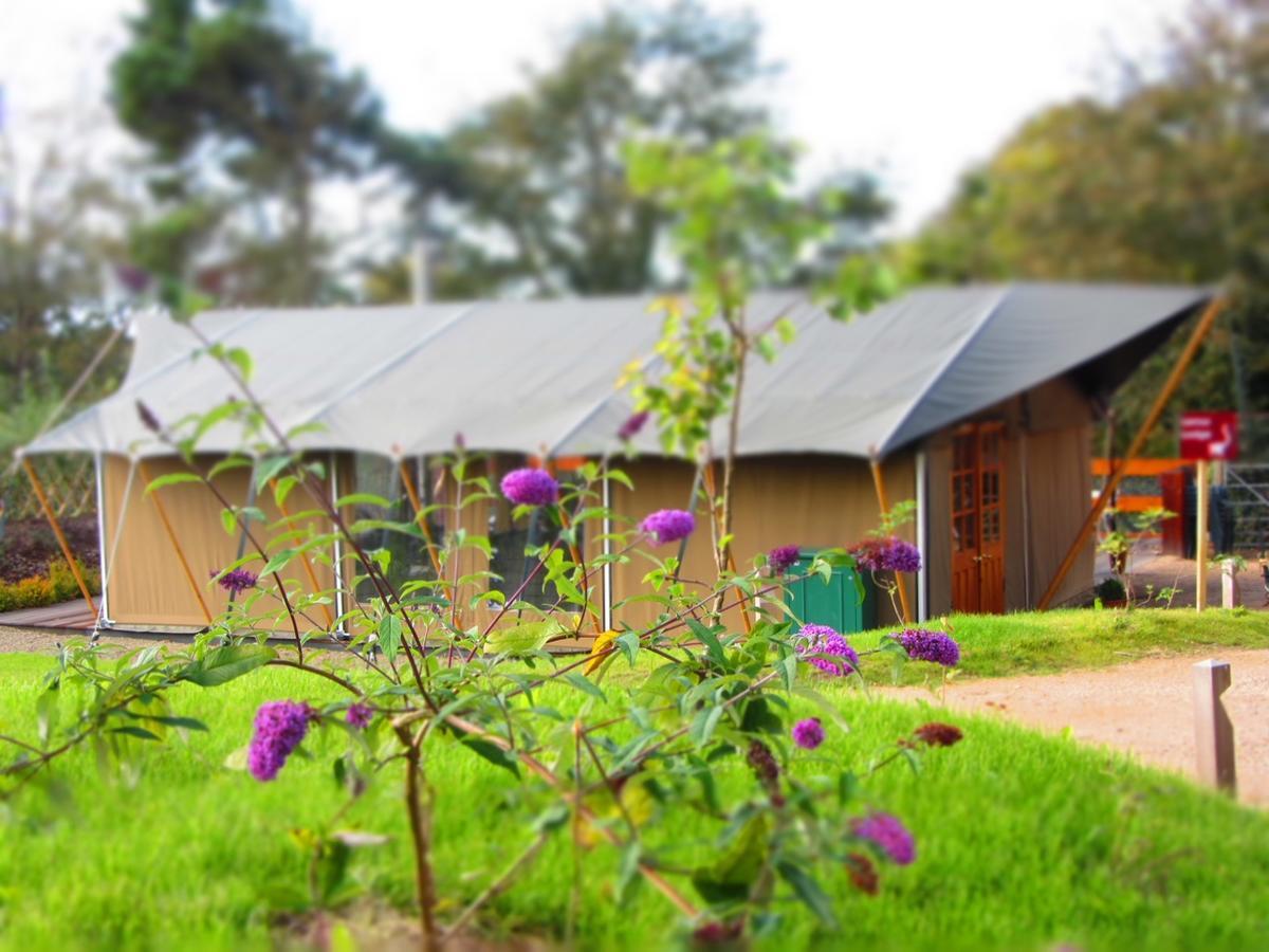 מלון Trinity Durrell Wildlife Camp מראה חיצוני תמונה